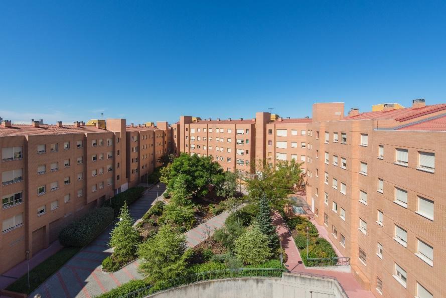 Imagen del carrusel 2